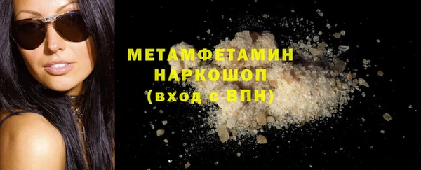 индика Горнозаводск