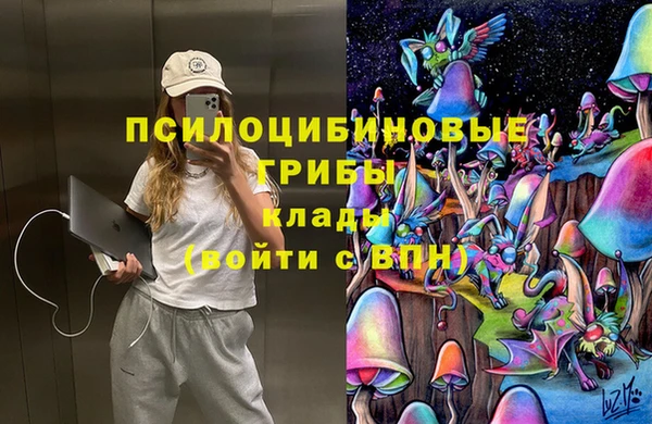 ешки Белоозёрский