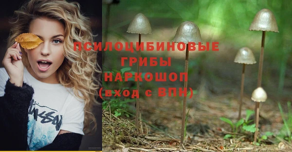 прущий лед Балабаново