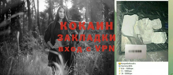 гашик Богородск