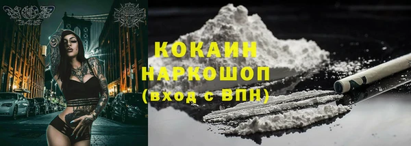 сатива Богданович